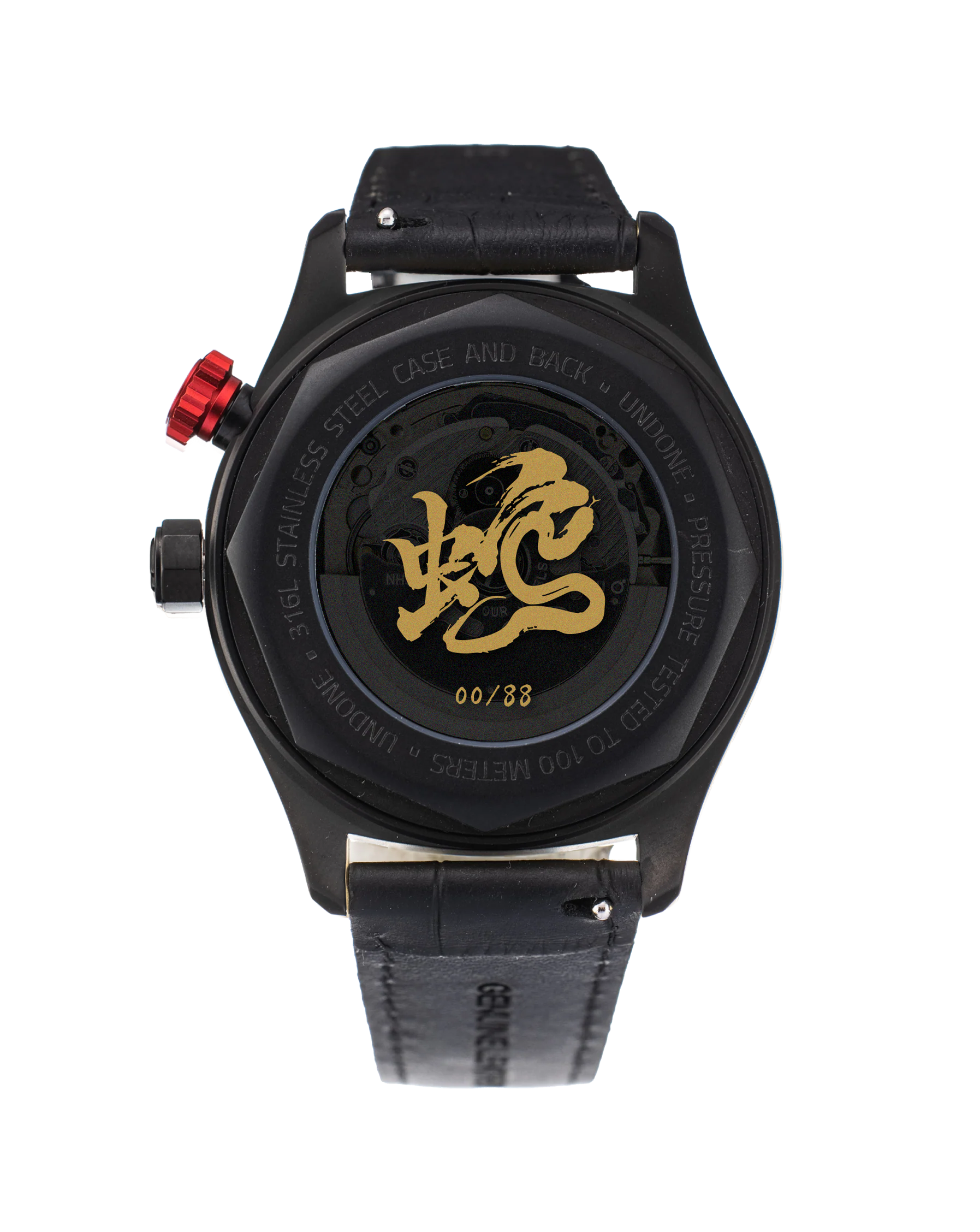 Chinese Hour Snake | Black
